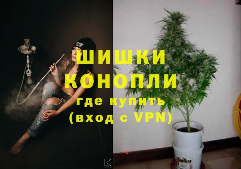 МАРИХУАНА White Widow  Малаховка 